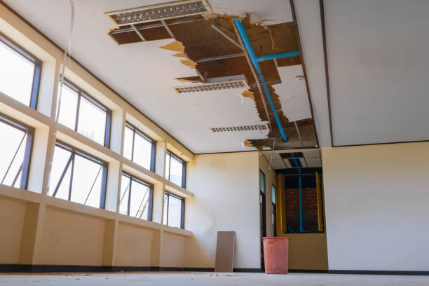 Best Flood damage cleanup  in Ashland, OR