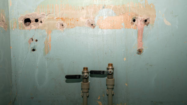 Best Local water damage restoration  in Ashland, OR